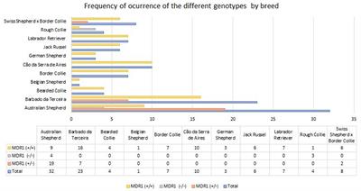 Occurrence of MDR1 1-delta mutation in herding dog breeds in Portugal